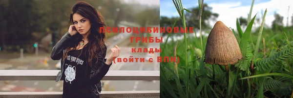 эйфоретик Остров
