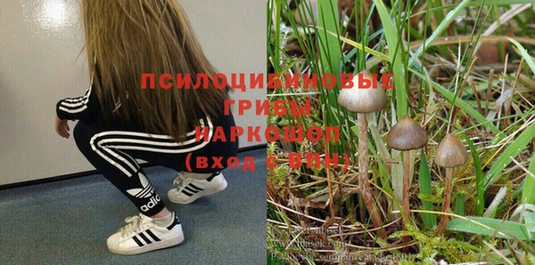 твердый Корсаков