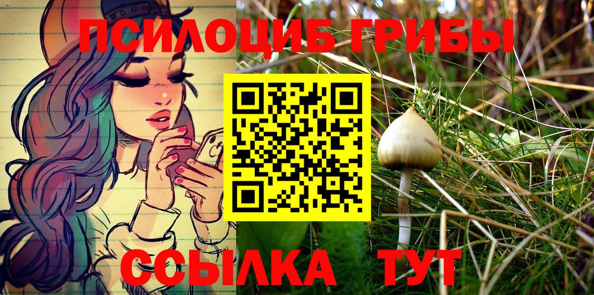 наркошоп  Псилоцибиновые грибы Psilocybine cubensis  Вход с VPN  Кумертау 